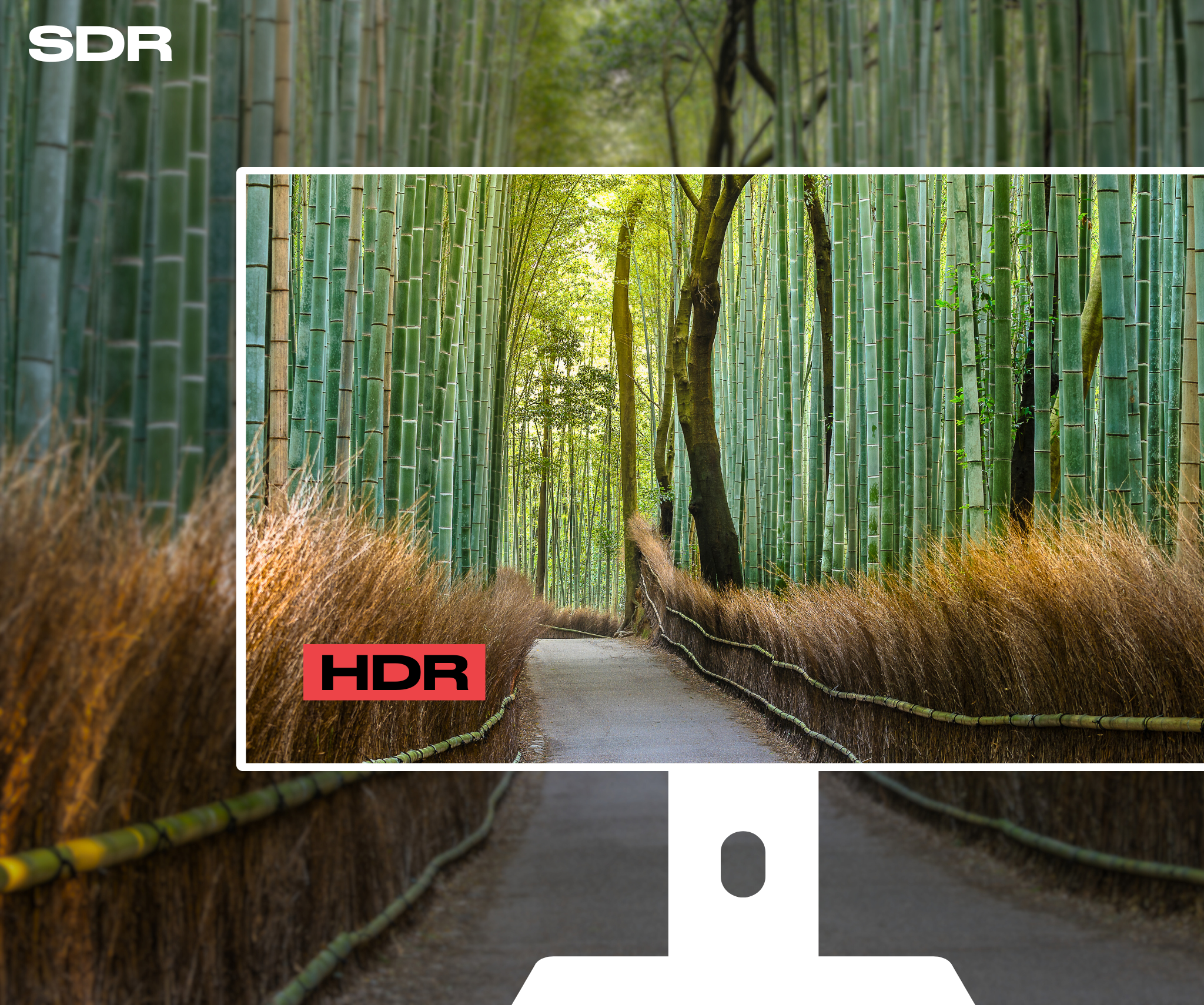 Schermo da ufficio per PC | 27" | WQHD