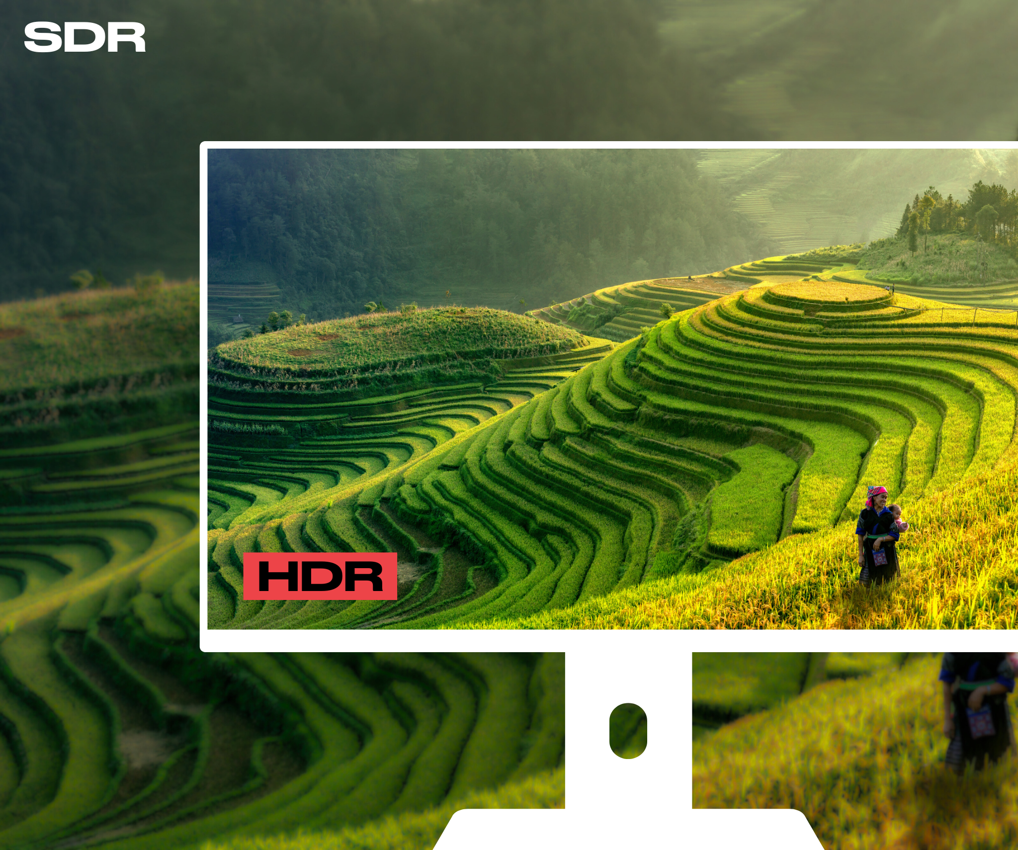 Monitor 23,8” | 4K UHD