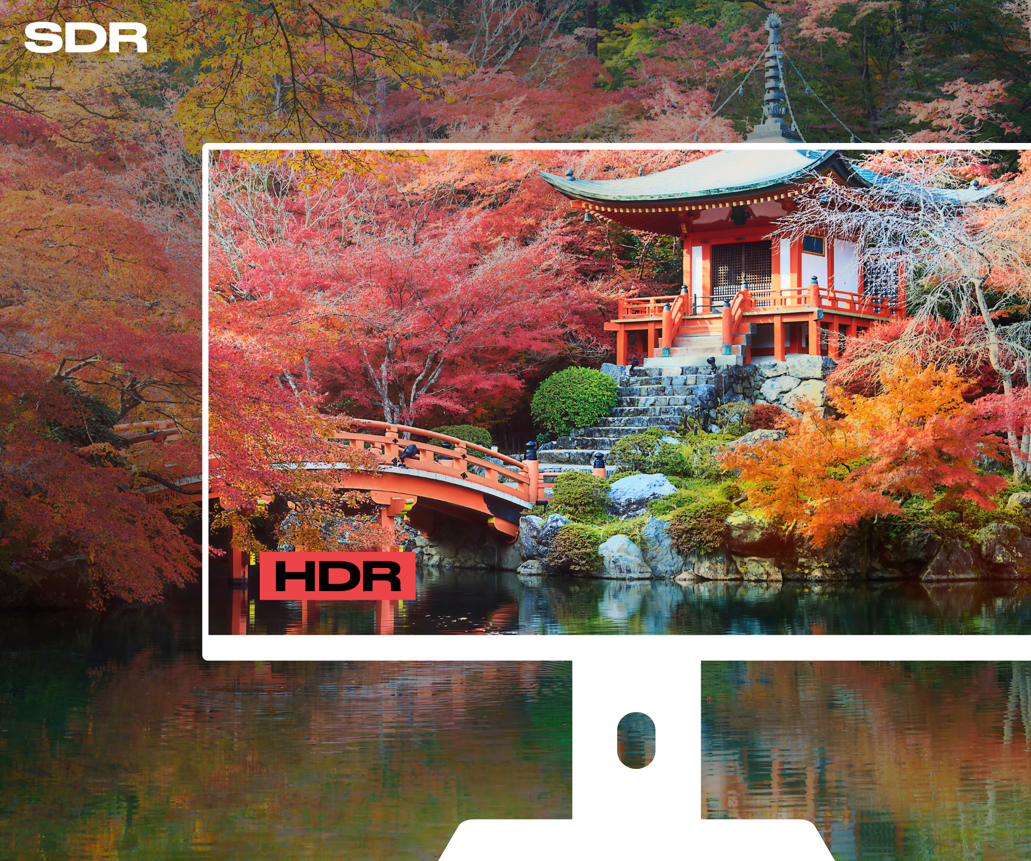 Schermo per PC da ufficio | 28" | 4KUHD | USB-C (+ carica 65W)