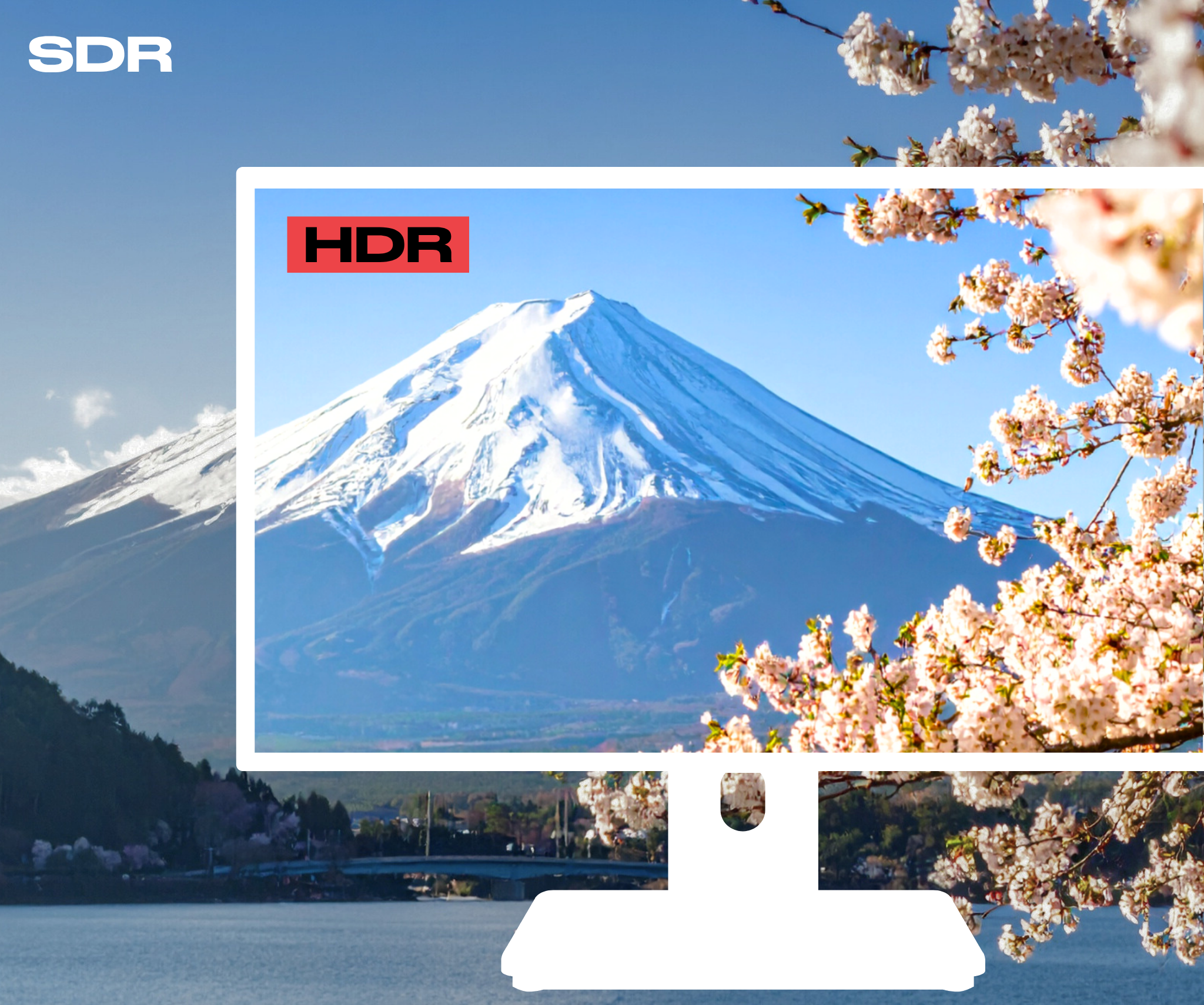 Schermo PC per ufficio | 21,5&quot; | FHD | Touchscreen | KVM | Alimentazione 65 W | Supporto ergonomico articolato