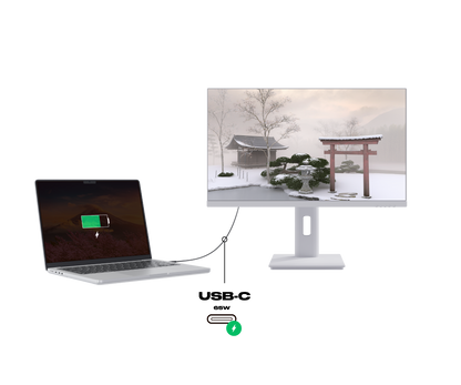 Écran PC Bureautique | 23,8" | WQHD | USB-C | Blanc