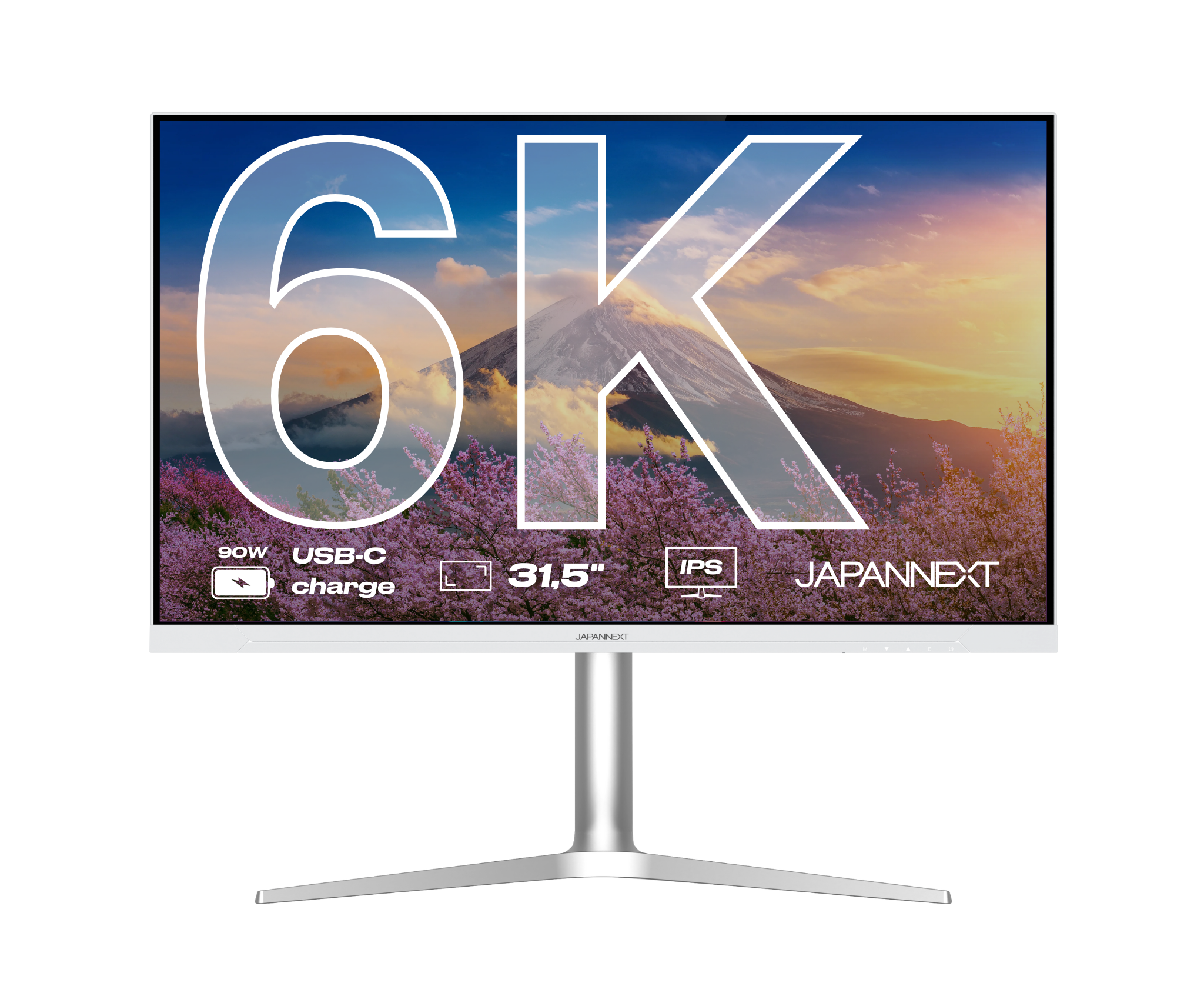 Monitor PC da Ufficio | 31,5