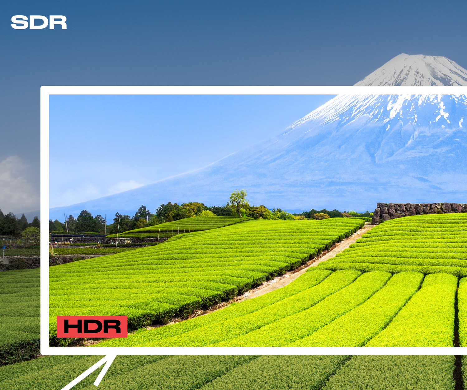 Monitor grande formato | 55” | IPS | 4K UHD