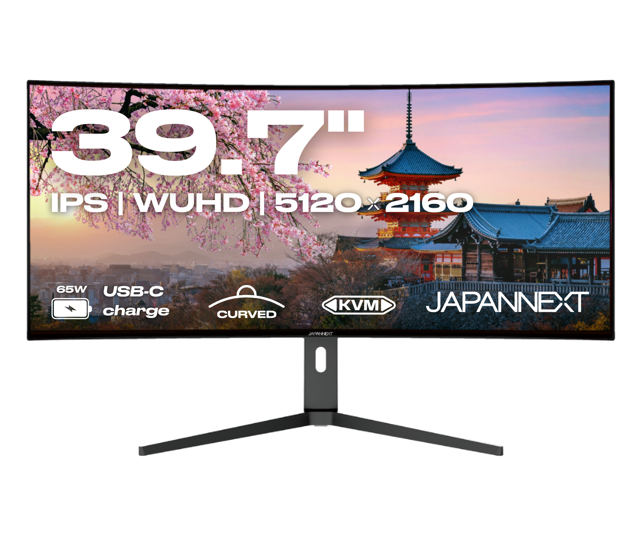 Monitor curvo per PC  | 39,7&quot; | WUHD | IPS | USB-C (+ carica 65W)